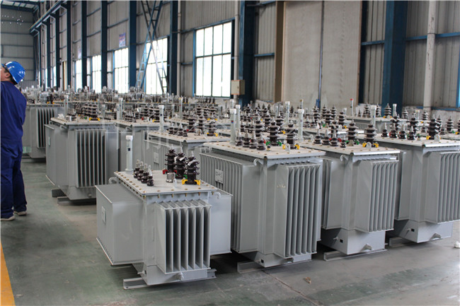 自流井S22-1000KVA/10KV变压器